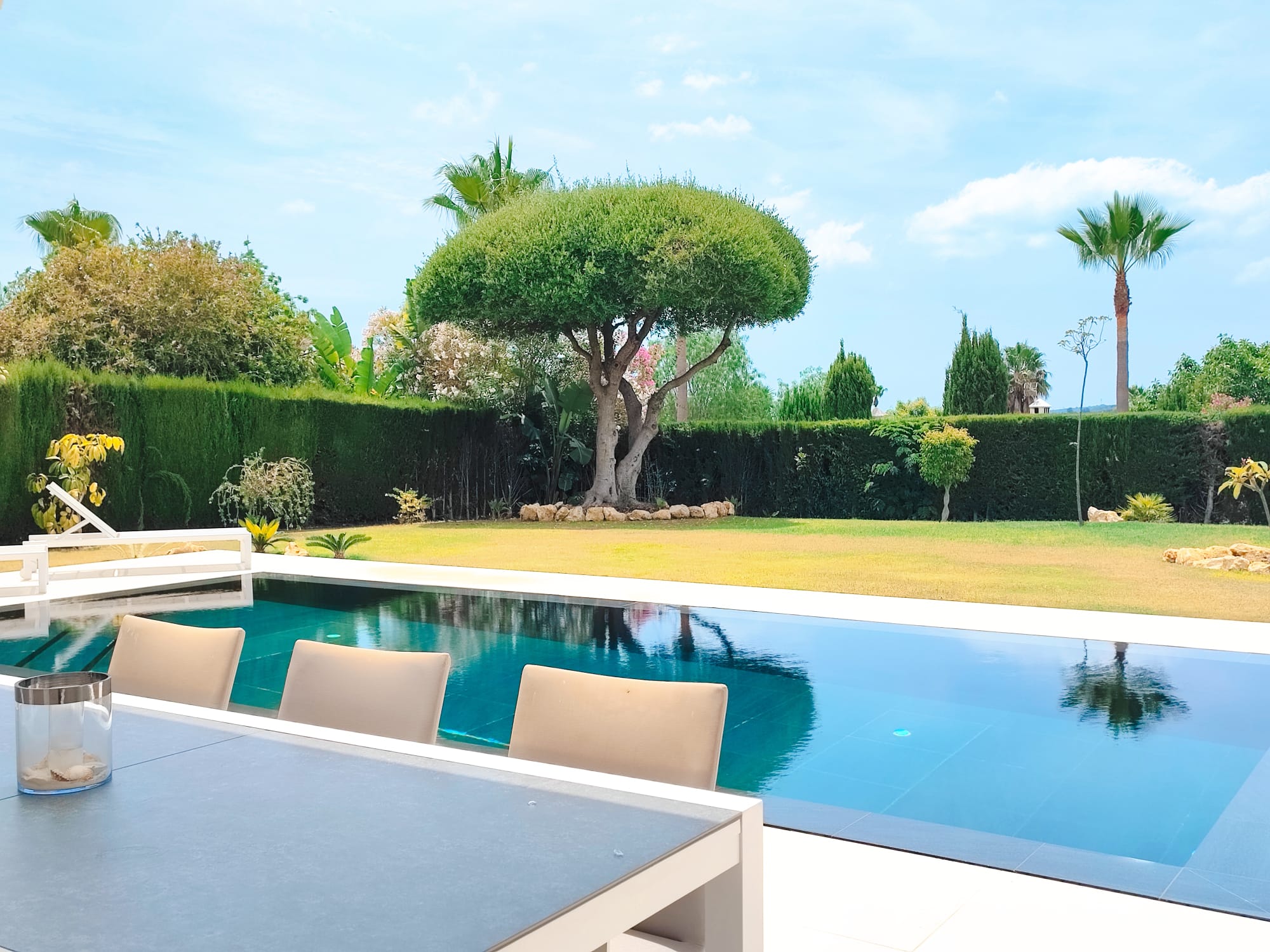 Infinity pool framed by the outdoor dining table and sculpted dragon tree